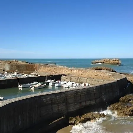 Henri Iv 202 : Vacances A 150m Des Plages דירה *